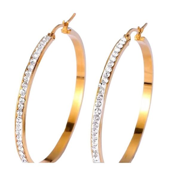 Fashion Hoop Gold plated Earrings - Picture 1 of 5